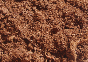 Les tourbes : Matières premières des terreaux et substrats - Dumona